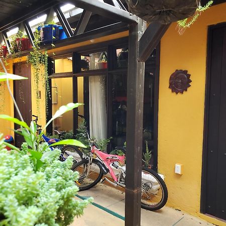 Parrot House Acomodação com café da manhã Antigua Exterior foto