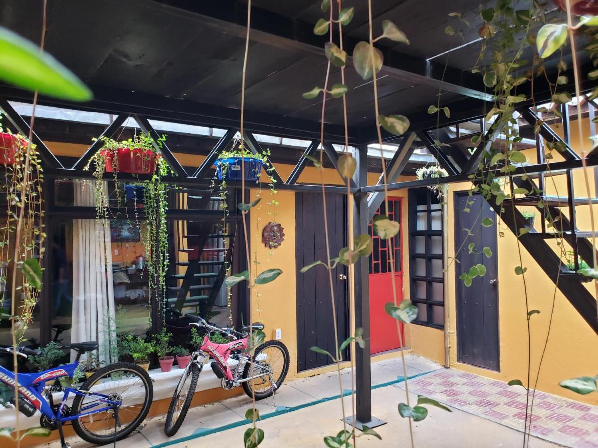 Parrot House Acomodação com café da manhã Antigua Exterior foto