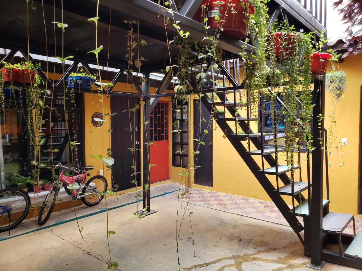 Parrot House Acomodação com café da manhã Antigua Exterior foto