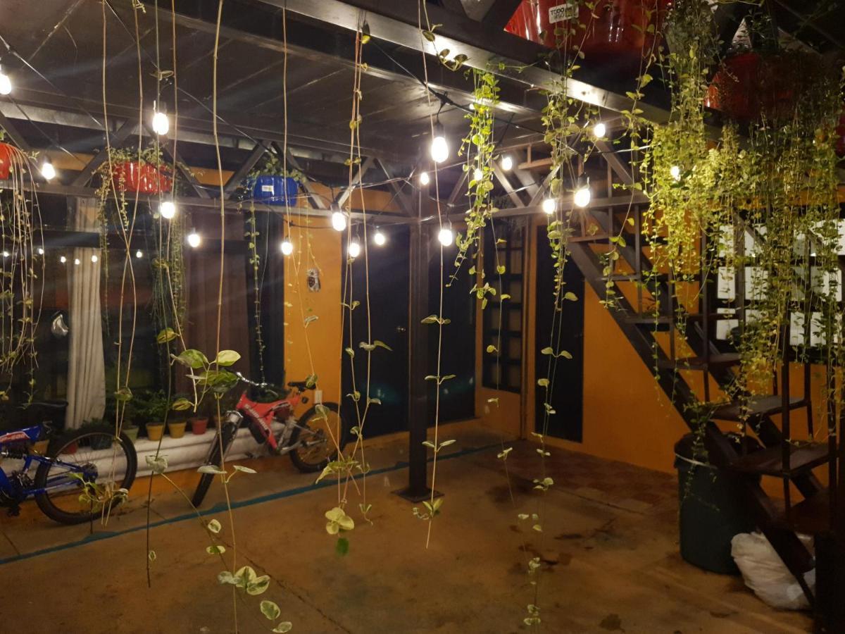 Parrot House Acomodação com café da manhã Antigua Exterior foto